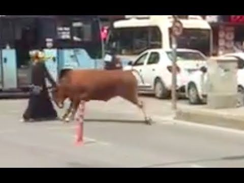 Escaped Bull Attacked The Woman in İstanbul
