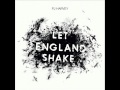 'The Words That Maketh Murder' - Let England Shake (PJ Harvey)