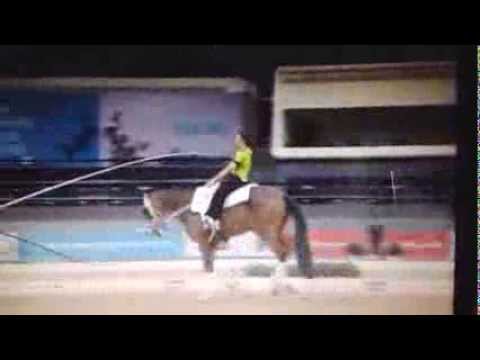 Daniel Kaiser - CVI Doha/Katar 2014 Pflicht