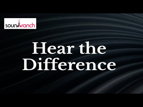 Sound Branch - Hear the Difference