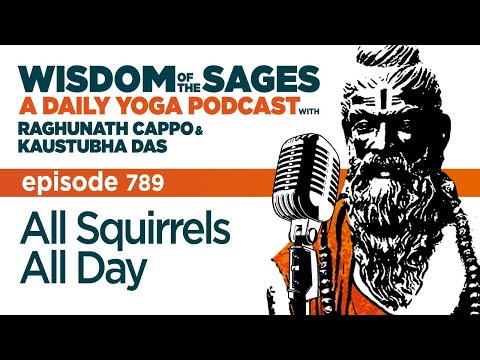 789: All Squirrels All Day