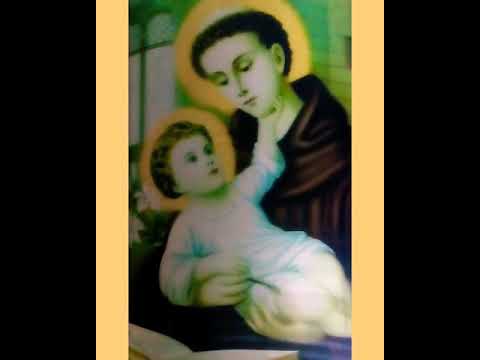 ශු අන්තෝනි මුනිදුන්ට ශිෂ්‍යයන් ගෙ යැදුම .