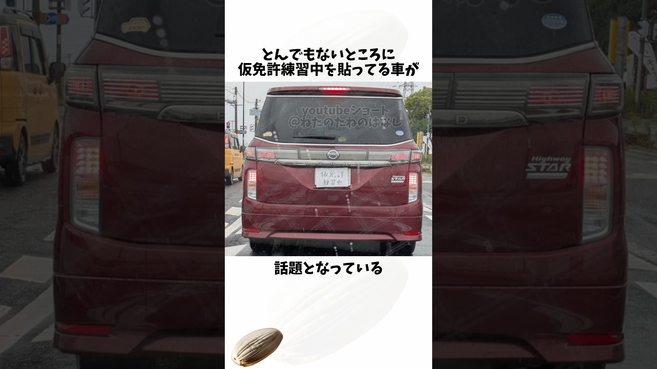 エグいとこに貼って仮免許練習中を知らせる車#仮免#車#バナナ#shortsfeed #voicevox