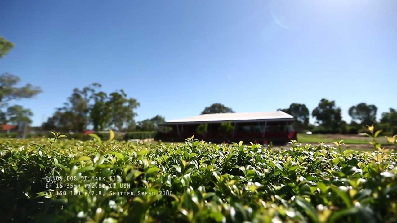 Объектив Canon EF 16-35mm f/2.8L II USM