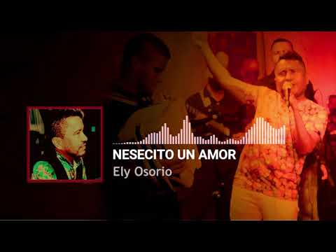 Nesecito Un Amor - Ely Osorio