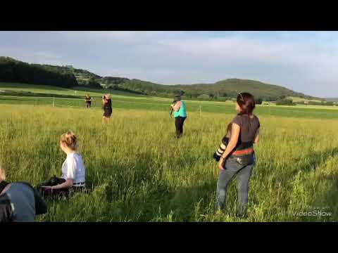 Photoshooting bei Kohlfuchs Haflinger Luber