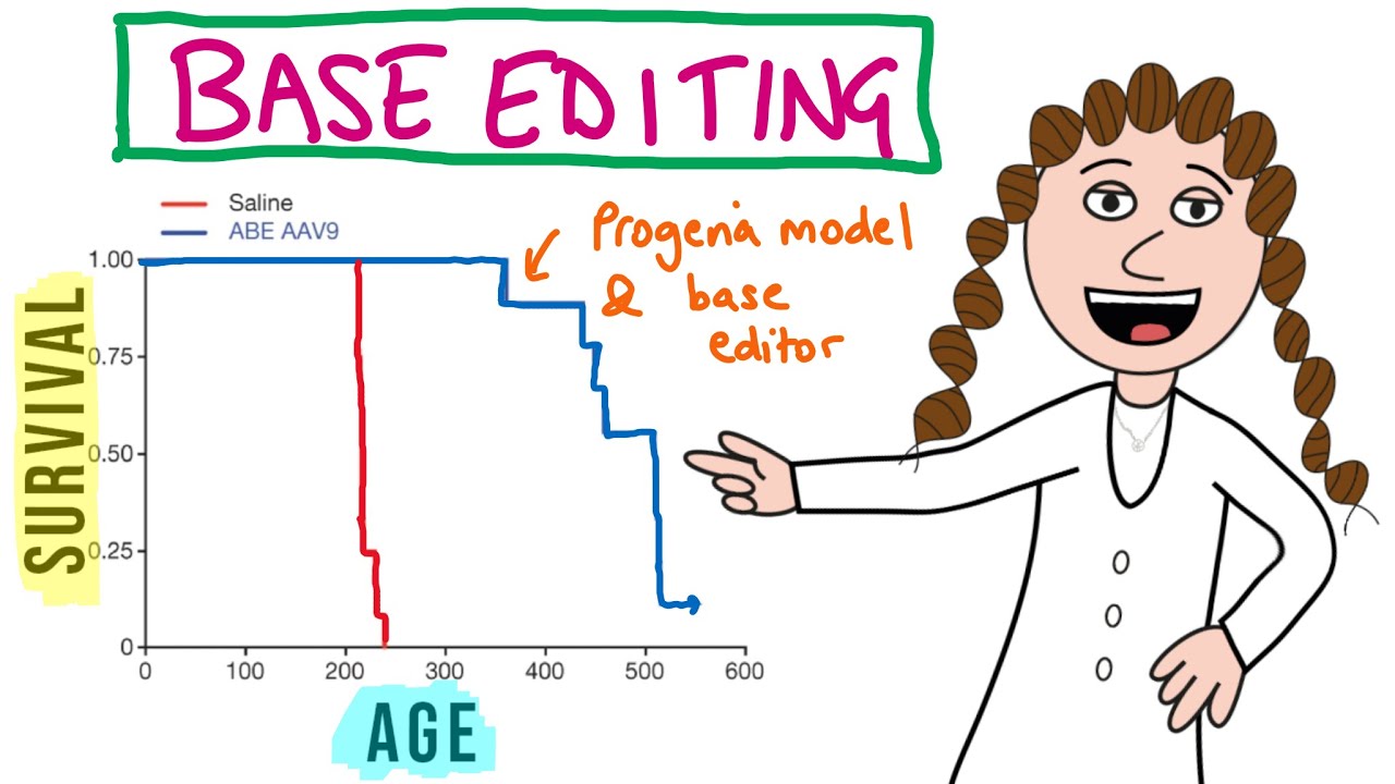 Base editing doubles lifespan...!! (in progeria mouse model)