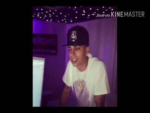 Papi Wilo - Maniática (Audio Official)