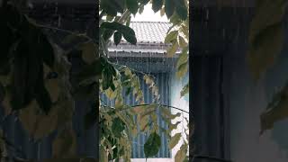 Download lagu Story Wa Hujan Sore Hari, Kamis 9 Desember 2021 mp3