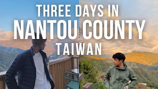 three days in NANTOU, TAIWAN - farm homestay, SHEEP, and maple trees!! [taiwan vlog]