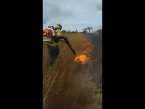 What an awesome idea: Blow out bush fires with petrol leaf blower
