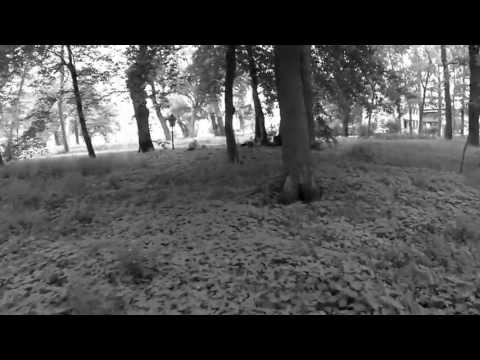 NORDLICHTZAUBER 24.08.2013 Neubrandenburg