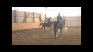 preview picture of video 'Szkolenie jeździeckie uczniów THK w Wolborzu w KJK Toporzysko Bór'