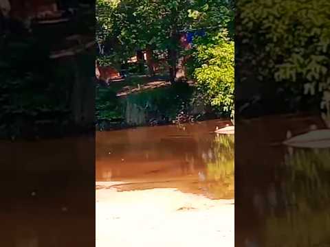 Río Panaholma, Cura Brochero, Traslasierras, Córdoba, Argentina.#curabrochero