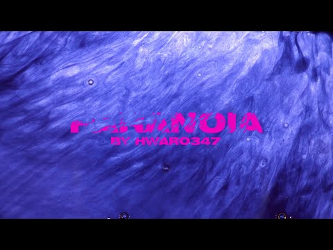 Hwaro347 - Paranoia (Audio)