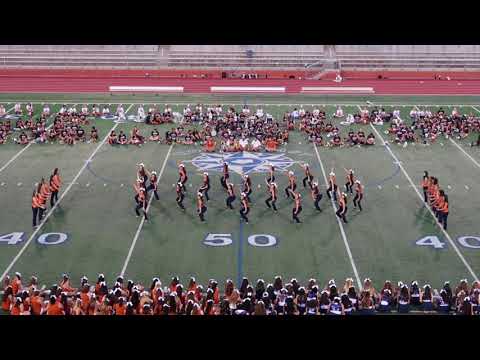 Meet the Mavs - Dollies