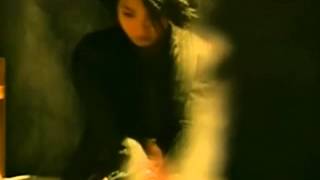 許美靜  明知故犯   高清    HD