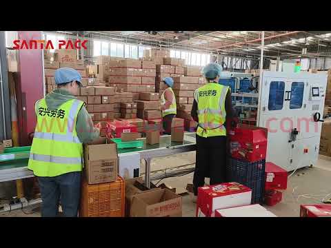 #shorts Mini High speed case erector used in postal warehouse,automatic packing machine-Santa Pack