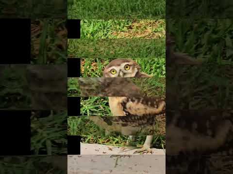 visitando Bodega Monteviejo en Valle de uco. Clos de los 7. Tunuyán Mendoza Wine Transfers