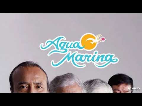 Lloro y canto agua marina