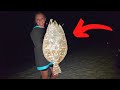 2 Hours Of Gigging Flounder On PUBLIC Beaches