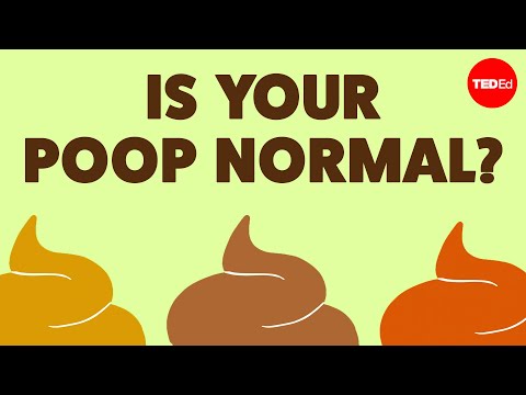 Is Your Poop Alright?