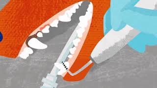 Professional dental cleaning for pets: Know before you go