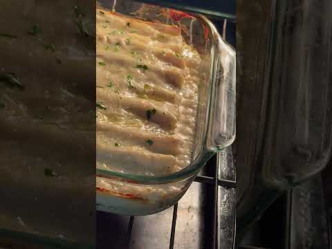 Bubbling #bechamel #cheesesauce #Cannelloni #pasta