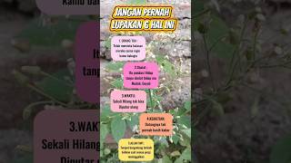 Download lagu HATI HATI!! 6 Hal ini jangan dilupakan.. Ayok SUBSCRIBE agar video ini bermanfaat #shortvideo #short mp3 Download lagu HATI HATI!! 6 Hal ini jangan dilupakan.. Ayok SUBSCRIBE agar video ini bermanfaat #shortvideo #short mp3