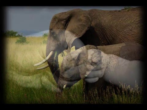 CBSMM | Just Like Daddy 2003  (prod.by Umut U + Antez)