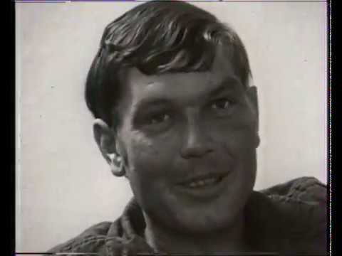 Végállomás Nagyfa