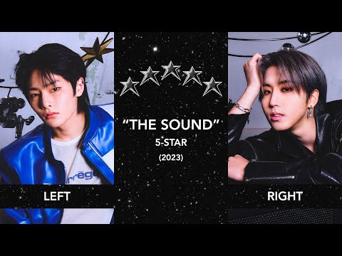 A Different Member Singing in Each Ear - SKZ 5-STAR