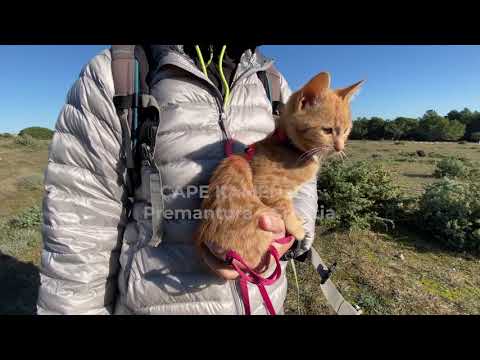 Cape Kamenjak Walk | Croatia