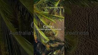 Cairns, Australia&#39;s gateway to greatness 😎