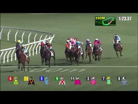 9/3/2022 (488) Hk Dragon - Z Purton