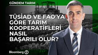 TÜSİAD ve FAO'ya Göre Tarım Kooperatifleri Nasıl Başarılı Olur?