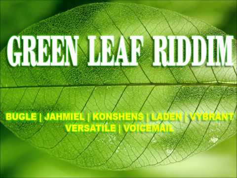 GREEN LEAF RIDDIM MIX HD (MARCH 2012) - DJ Wilson