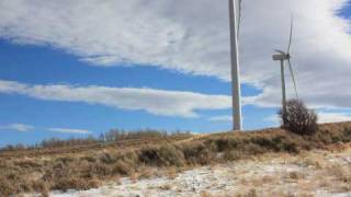 Turbines and Trees Mash Up - NUAMES