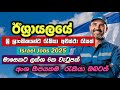 Israel Job Vacancies In Sri Lanka 2025 I New Job Opportunities Sinhala