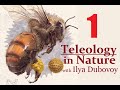 Teleology in Nature: a presentation by Ilya Dubovoy [Part 1/3]