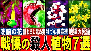 【閲覧注意】あまりに危険すぎる殺人植物7選【ゆっくり解説】【動物おもしろ雑学】
