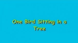 One Bird Sitting in a Tree