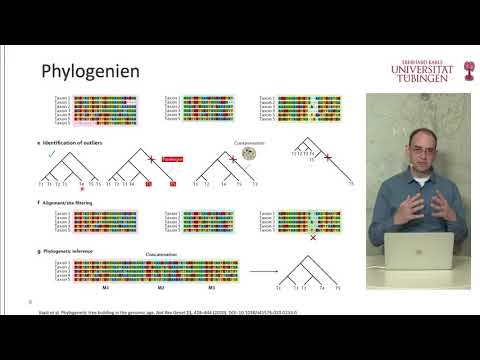 COVID-19-Ringvorlesung #14 – Bioinformatik-basierte Forschungsansätze (07.07.2020)
