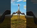 Sandhill Crane Dance Interactive Demo