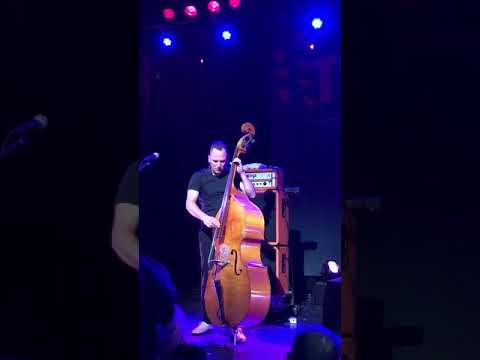 Tiger Army Standup Bassist Djordje Stijepovic KILLING It