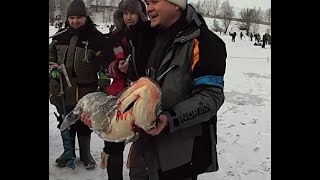 Платная рыбалка в подмосковье зимняя