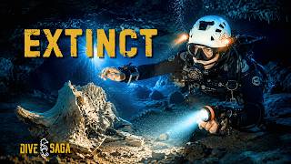 Finding Ice Age Giants During a Cave Dive in Mexico!