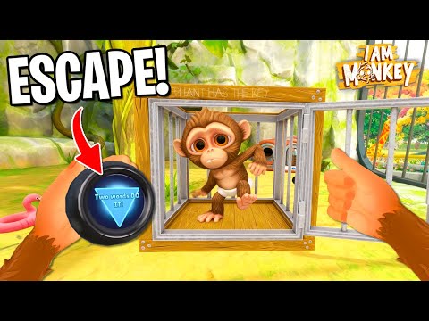 Helping BABY MONKEY Escape With The MAGIC 8 BALL! (I Am Monkey VR)