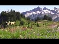 Skyline Trail, Mt. Rainier 20140809 1080p HD 