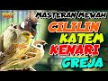 CILILIN KAPAS TEMBAK GREJA TARUNG KENARI MASTERAN AUDIO SUPER JERNIH